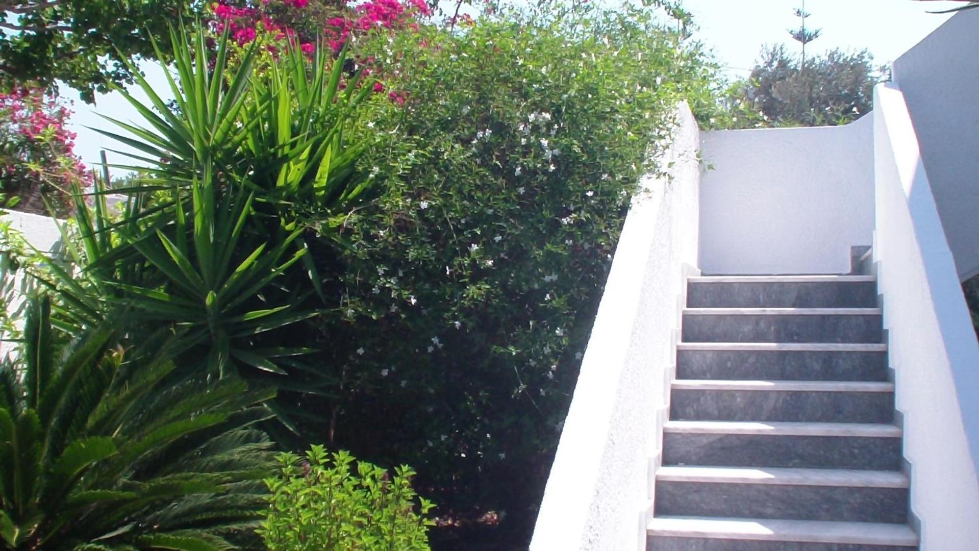 Creta Vassakis Studios 2 Kéfalos Extérieur photo