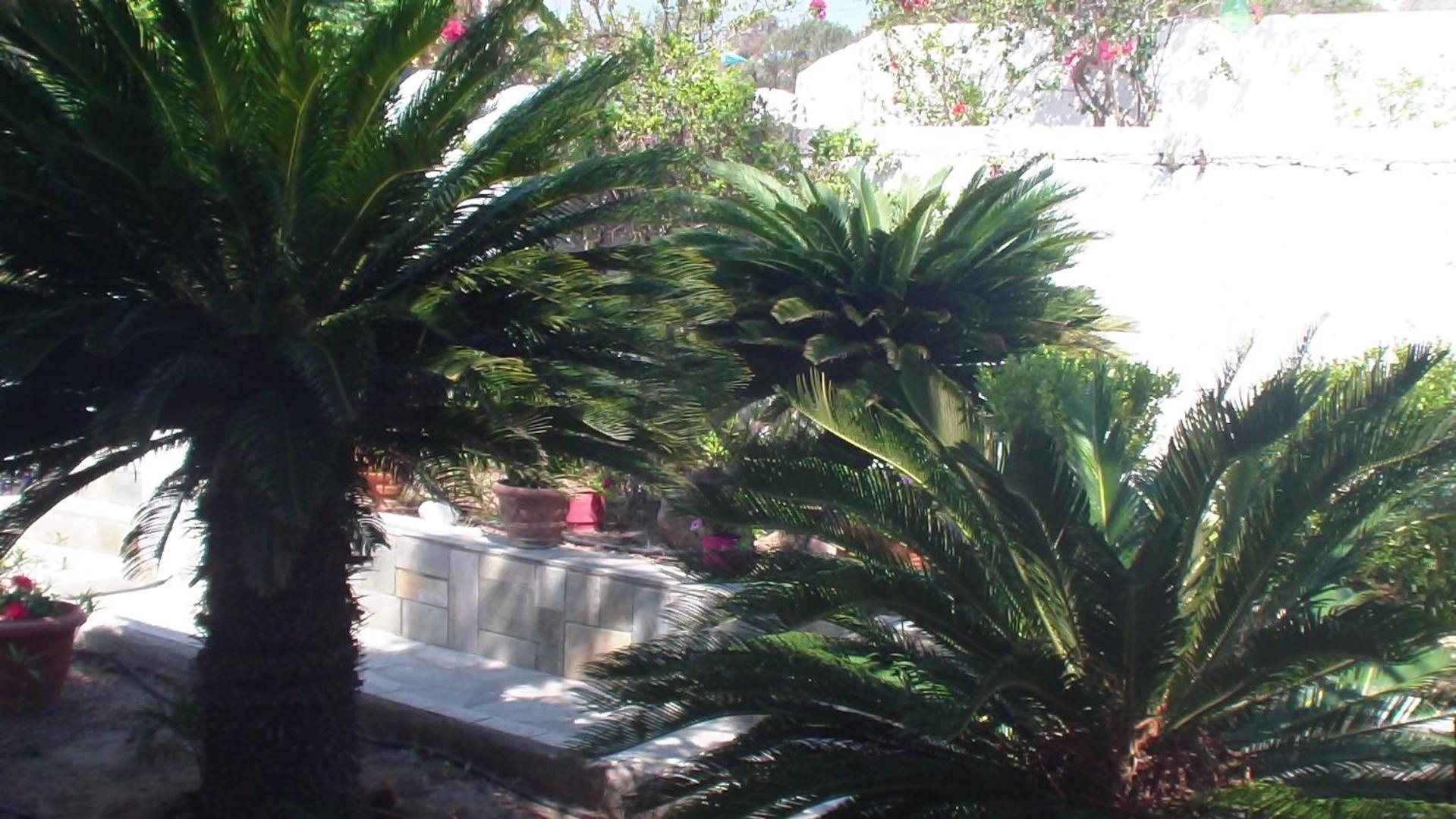 Creta Vassakis Studios 2 Kéfalos Extérieur photo